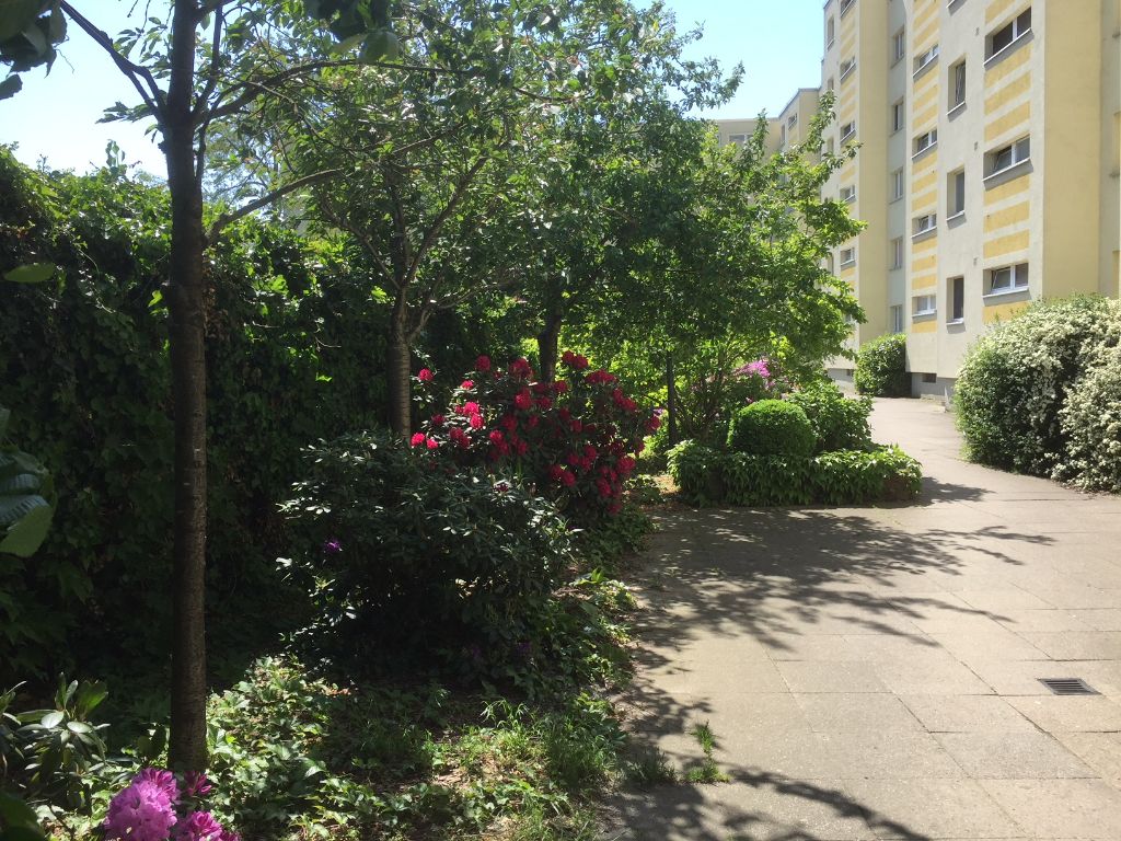 Vermietung Wohnen auf Zeit Spandau Brunsbütteler Bamm 311 Wohnzimmer